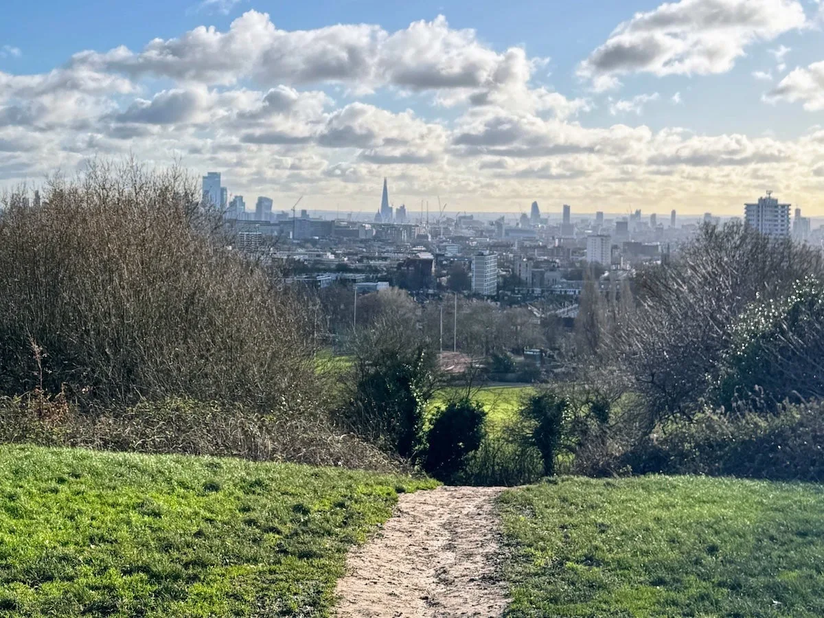 UCL 自然保护社汉普斯特德荒野观鸟（Bird Walk: Hampstead Heath）